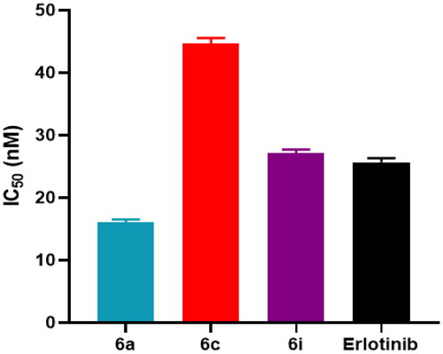Figure 7. IC50 values of the tested hybrids (6a, 6c and 6i) and erlotinib against EGFR.