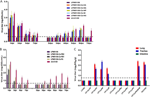 Fig. 5 Replication and transmission of reassorted viruses in dogs.Groups of four dogs were inoculated with 105.5 TCID50/mL of each reassorted virus (Table 3). RD-contacts were individually placed adjacent to the inoculated dogs at 1 dpi. Nasal wash titers are shown for individual dogs (a and b). Two dogs per group were humanely euthanized at 5 dpi for virus titration in various tissues (c). Virus titers in nasal washes and homogenized tissues are expressed as log10EID50/mL or gram of tissue collected, with the limit of virus detection set at 0.7 log10 EID50/mL or gram