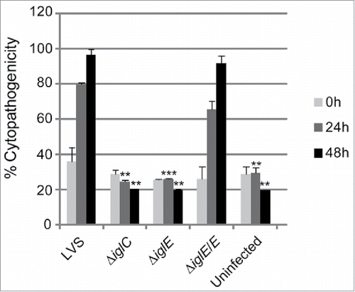 Figure 2. Cytopathogenicity of F. tularensis strains. Culture supernatants of infected J774 cells were assayed for LDH activity at 0, 24 and 48 h and the activity was expressed as a percentage of the level of non-infected lysed cells (positive lysis control). Means and SD of triplicate wells from one representative experiment of 2 are shown. The asterisks indicate that the cytopathogenicity levels were significantly higher than those of LVS-infected cells at a given time point as determined by a 2-sided t-test with equal variance, including the Bonferroni correction for multiple pair-wise comparisons (**, P ≤ 0.01; ***, P ≤ 0.001).