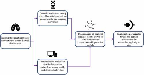 Figure 3. A generalized workflow for metabolite detection based on commonalities identified in analytical techniques employed in the studies we have identified.
