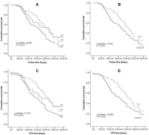 Figure 1 Survival rate curve of rs10165462 genotypes; (A) Overall survival rate curve for genotype TT, CT and CC, P<0.05. (B) and wild-type TT and varied genotype CT+CC, P<0.05; (C) Progression free survival rate curve for genotype TT, CT and CC, P<0.05; (D) and wild-type TT and varied genotype CT+CC, P<0.05.