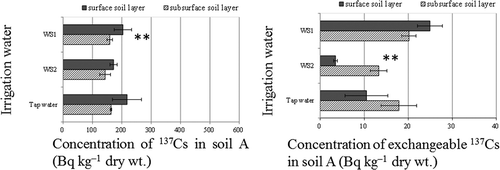Figure 4 Concentration of total radiocesium (137Cs) and exchangeable 137Cs in soils irrigated with water of different origins. WS1, irrigation water sampled on June 22, 2011 after heavy rain; WS2, irrigation water sampled on June 26, 2011 after fine weather. Values are means ± SEM (standard error of the mean) (n = 3). Surface soil, 0–5 cm; subsurface soil, 5–15 cm. **P < 0.01 (Student’s t-test) between surface and subsurface soil layers.