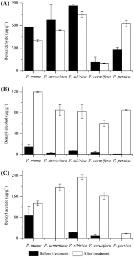 Fig. 5. The contents (μg g−1) of benzaldehyde (A), benzyl alcohol (B) and benzyl acetate (C) in the flowers of different species before and after benzyl alcohol treatment.Note: The error bars show standard deviation.