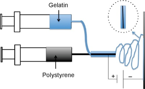 Figure 1 The schematic diagram of electrospinning setup for core–sheath PS/gelatin nanofibrous membraneAbbreviation: PS, polystyrene.