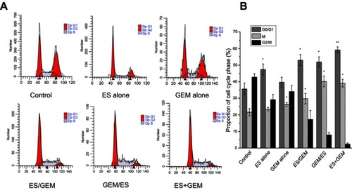 Figure 5 Cell cycle analysis of tumor tissue from mice in different groups. (A) Flow cytometry analysis of cell cycle redistribution in xenografts from mice in different groups. (B) Percentage of cells in G0/G1, S, G2/M phase in mouse xenografts in different treatment groups. *P<0.05 vs control group, **P<0.05 vs all groups.Abbreviations: ES, endostar; GEM, gemcitabine.