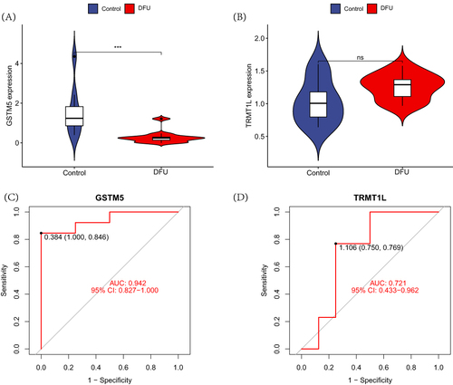 Figure 5 Differences in the intersection model within the validation set. (A) The differential expression of gene GSTM5 between the DFU group and the control group; (B) The differential expression of gene TRMT1L between the DFU group and the control group; (C) The ROC curve of GSTM5; (D) The ROC curve of TRMT1L.