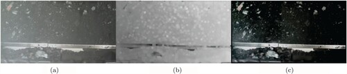 Figure 5. The results of our dust removal method. (a) Input, (b) dust model and (c) dust-free image.