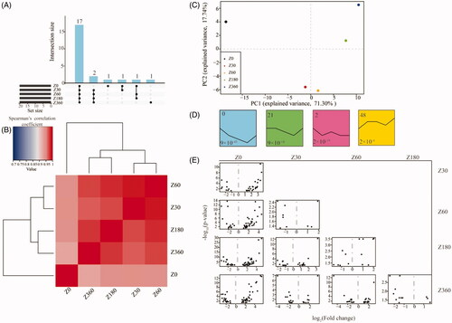 Figure 2. (A) Upset plot of 17 microRNAs with the highest expression across the five developmental stages. (B) Heatmap of hierarchical clustering results based on pairwise Spearman’s correlations of miRNA expression levels between different stages. (C) Principal component (PC) analysis based on the miRNA expression profile across five developmental stages. (D) Over-represented temporal expression profiles with p < 0.05. The number in the top left (0, 21, 2, 48) of each box is the profile ID assigned by STEM. The number in the bottom left of each box (9 × 10−45, 9 × 10−18, 2 × 10−19, 2 × 10−4) is the adjusted p value. (E) Differentially expressed miRNAs of pairwise comparisons between time points. Graphs depict the log2-transformed fold-change in expression (x-axis) and minus-log10-transformed p values (y-axis).