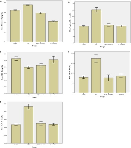 Figure 3 Level of serum cholesterol (A), triglycerides (B), HDL-C (C), LDL-C (D) and VLDL-C (E) in control, STZ, STZ plus Caralluma russeliana extract and C. russeliana extract-treated rats after 8 weeks. Error bars: ±1 standard error of mean (n=7).