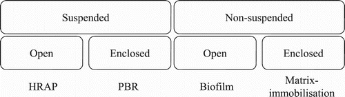 Figure 2. Categories of microalgal bioreactors for wastewater remediation.