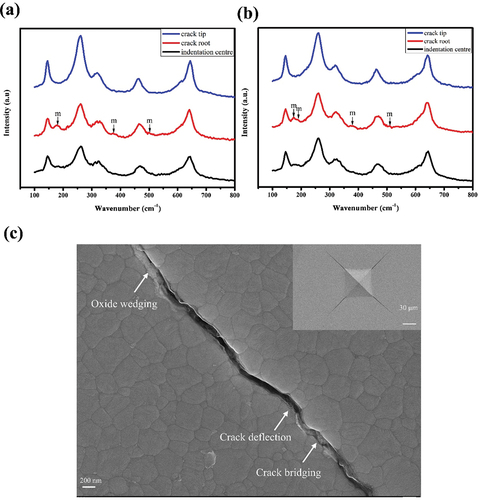 Figure 10. Raman spectra near the indentation zone of zirconia ceramics: (a)1.0ge-3Y, (b) 1ge-0.25al-3Y. (c) SEM images of indentation-induced cracking in 1ge-0.25al-3Y ceramics.