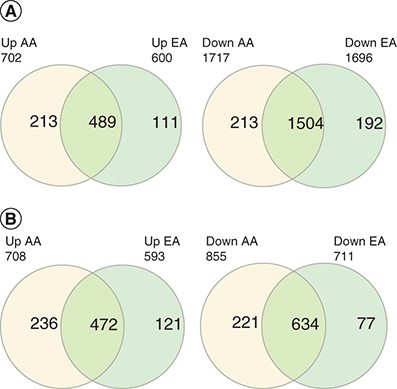 Figure 1. Venn diagrams show the number of (A) DE mRNAs in AA and EA.(B) lncRNAs in AA and EA.AA: African ancestry; EA: European Ancestry.