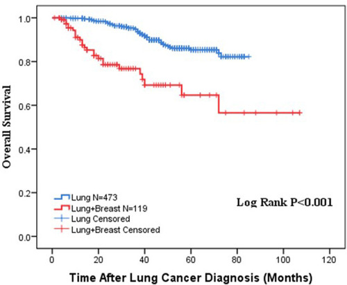 Figure 3 The comparison of overall survival between lung cancer patients with and without breast cancer before the propensity score match.