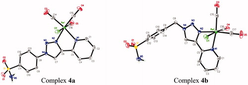 Figure 2. The molecular structures of rhenium complexes 4a and 4b. Displacement ellipsoids are drawn at 50% probability, solvent molecule (4b) and hydrogen atoms (except H atoms on nitrogen) have been omitted for clarity.