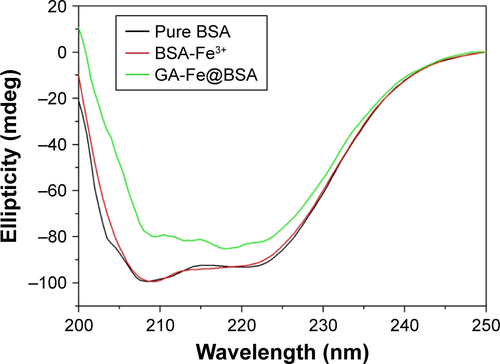 Figure S5 Circular dichroism spectra (recorded by BioLogic ALX250) of pure BSA, BSA-Fe3+ and GA-Fe@BSA nanoparticles.