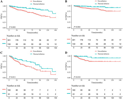 Figure 2. Kaplan–Meier curves of PC. (A) thermal ablation versus non-ablation for OS of patients aged ≤70 years after PSM; (B) thermal ablation versus non-ablation for LCSS of patients aged ≤70 years after PSM; (C) thermal ablation versus non-ablation for OS of patients aged >70 years after PSM; (D) thermal ablation versus non-ablation for LCSS of patients aged >70 years after PSM. PC: pulmonary carcinoid; OS: overall survival; LCSS: lung cancer-specific survival; PSM: propensity score matching.