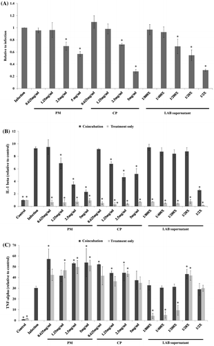 Figure 6. ST21 invasion ability in RAW267.7 cells (a) and level (relative to control) of IL-1beta (b) and TNF-alpha (c) in infected RAW264.7 cells. ST21-infected cells without any treatment (Infection), and treated by 5, 2.5, 1.25, 0.625 mg/ml of PM or CP, or 2-fold (1/2×), 20-fold diluted (1/20×), 200-fold diluted (1/200×), 400-fold diluted (1/400×), or 800-fold diluted (1/800×) LAB supernatant for 1 h. Values are mean ± SD, n = 3. *Means significantly different from infection without treatment group, p < 0.05.