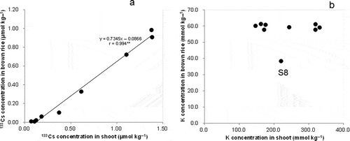 Figure 4 Relationship between the concentration in brown rice and shoots for cesium-133 (133Cs) (a) and potassium (K) (b) among soils (** indicates P < 0.01).