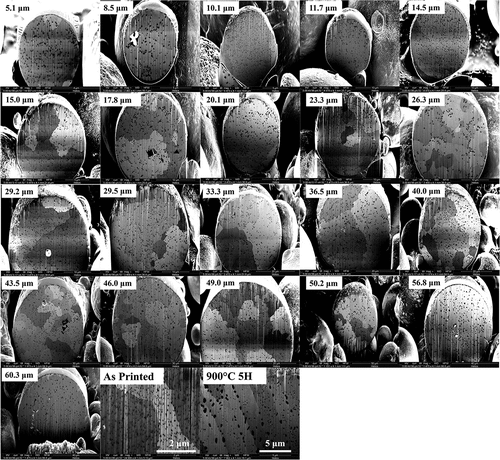 Fig. 3. FIB-sectioned GRCop-42 gas-atomized powder particles between 5 and 60 μm in diameter, and as-printed and 900°C 5-h heat-treated GRCop-42 material. Slower cooling of larger-diameter particles resulted in large precipitates, while the L-PBF process refined precipitate size. Note the difference in the scale bars.