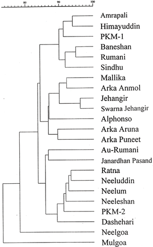 FIGURE 3 Association among mango hybrids and their corresponding parents revealed by UPGMA cluster analysis according to Jaccard's genetic similarity coefficients calculated from RAPD data generated by ten primers.