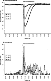 Figure 4 Effects of forced swim stress at different water temperatures on core body temperature (A; °C) and general motor activity (B; arbitrary units) as assessed by in vivo biotelemetry. After measuring baseline core body temperature and motor activity between 09:00 and 11:15 h, rats were forced to swim for 15 min (as indicated by the grey bar and arrow) in water of 19, 25 or 35°C (n = 6 for all groups). After return to the home cage recording continued until 15:00 h. Time points on the x-axis indicate time of day at which the measurement was made. For sake of clarity error bars are not depicted in Figure 4B.
