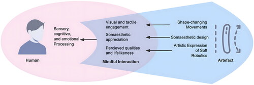 Figure 2. The design and evaluation framework of Coral Morph.