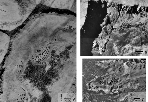 Figure 2 Examples of sampling locations (open circles) and lobe (lines) ages on several rock glaciers and rock glacier complexes; numbers indicate the deposit age at each sampling location. Note the general increase in deposit age with increasing distance from the talus source. (A) Rock glaciers in the northeastern cirque of East Beckwith Mountain. (B) A series of rock glaciers in the cirque immediately east of Mount Democrat. (C) The rock glacier complex in Queen Basin.