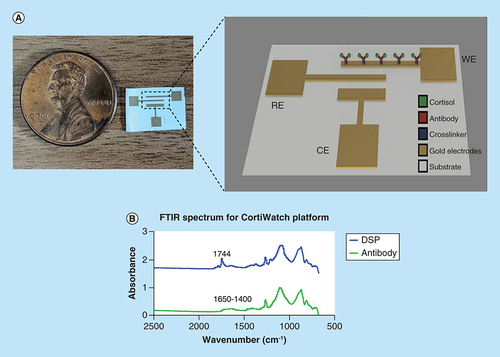 Figure 1. CortiWatch electrode design and functionalization chemistry.(A) Picture of the CortiWatch sensor displayed next to a penny for size reference. Electrochemistry schematic of the electrode functionalization. (B) FTIR spectrum displaying absorbance peaks related to linker and capture probe (antibody) group for CortiWatch platform.CE: Counter electrode; FTIR: Fourier transform infrared spectroscopy; RE: Reference electrode; WE: Working electrode.