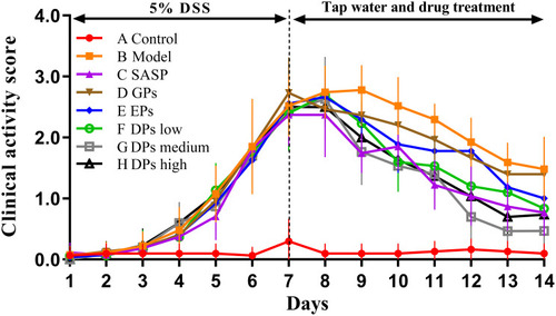 Figure 7 Clinical activity scores (DAI) throughout the entire experimental period. (A) Control group, (B) model group, (C) SASP group, (D) GPs group, (E) EPs group, (F) DPs low-dose group, (G) DPs medium-dose group, (H) DPs high-dose group (n = 10).