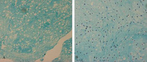 Figure 9.  Strain of some specimens in vitro for 8 weeks. A: co-culture group; B: Chondrocyte group.
