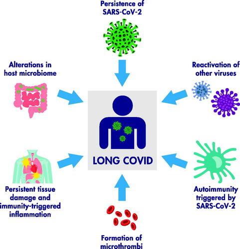 Figure 2. Possible mechanisms underlying the long-term sequelae of COVID-19.