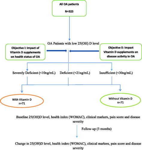 Figure 1. Study flow chart.