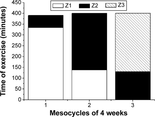 Figure 2 Time spent in each intensity zone during the 12 weeks of aerobic training.