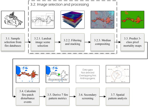 Figure 2. Analysis workflow.