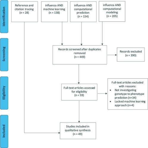 Figure 1. PRISMA flow diagram of the article screening process for a systematic review of influenza genotype to phenotype prediction studies employing a machine learning approach. There were 449 articles captured from 3 PubMed database searches; 28 articles were identified through tracing the references in and articles citing the full-text reviewed articles. A total of 49 articles were included in the final review.