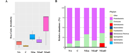 Figure 7 Full-length 16S rRNA gene amplicon analysis of vaginal microflora. After euthanasia, the fresh sample of vaginal tissues from each mouse were collected, and DNA of the samples were extracted for full-length 16S rRNA gene by NGS analysis. The results of (A) Bray-Curtis dissimilarity and (B) phylum-level composition, are shown to understand the composition, richness and abundance of vaginal microflora between each group.