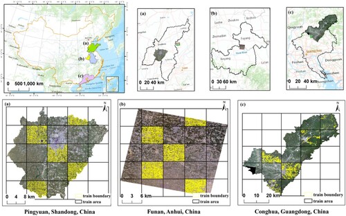 Figure 11. Study area and training area: (a) is the Pingyuan County, (b) is the Funan County, and (c) is the Conghua County.