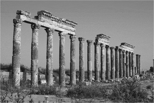 Figure 30. A Roman colonnade at Apamea in Syria.