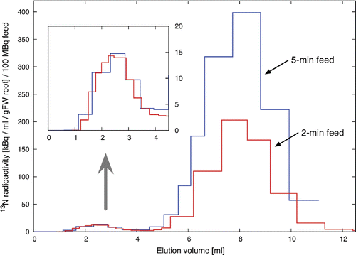 Figure 1 Nitrogen-13 (13N) specific activities in the factions separated by a desalting column from the nitrate/nitrite ()-fed root extract. The first peak (also shown in a magnified view) indicates 13N-bound HMC(s).