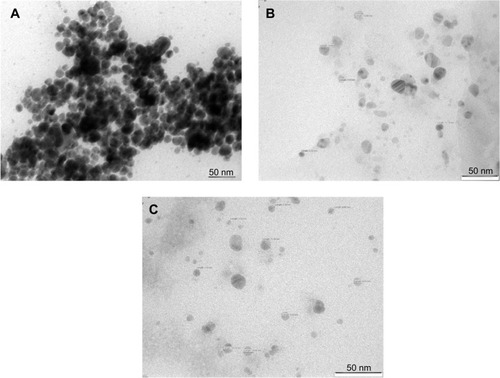 Figure 3 Transmission electron microscopic images of AgNPs.Notes: AgNPs synthesized using different concentrations of AgNO3: (A) 2.5 mM, (B) 5 mM, and (C) 10 mM. Insert bar corresponds to 50 nm.Abbreviation: AgNPs, silver nanoparticles.