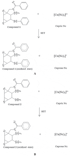 Figure 7. The proposed chemical reaction of boesenboxide (1) (A) and crotepoxide (2) (B) in antioxidant assay CUPRAC via SET mechanism.