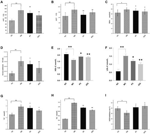 Figure 4. Detection of serum indicators in rats [(compared with model control (MC), *p < 0.05, **p < 0.01), normal control (NC), model control (MC), positive control (PC) and Jiang-Zhi Granule (JZG)].