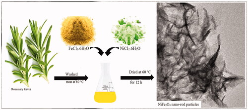 Figure 8. Schematic of green and sustainable process for NiFe2O4 nano-rod particles.