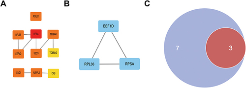 Figure 3 The key genes identified by MCC and MCODE.