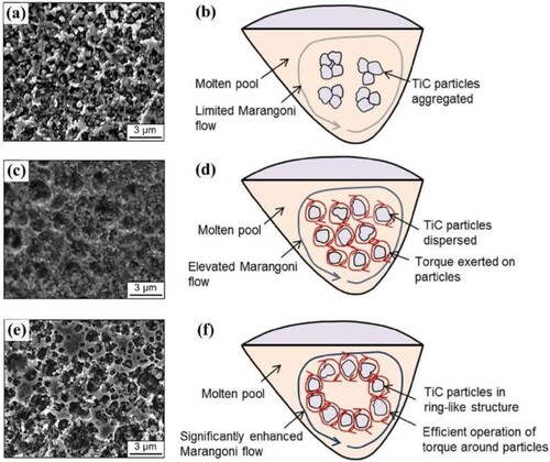 Figure 14. Schematic illustrating the movement of TiC nanoparticles within the molten pool during LBAM-processing at various VEDs: (a) VED = 67 J mm−3; (b) VED = 125 J −3; and (c) VED = 300 J mm−3. Reproduced with permission from [Citation77].