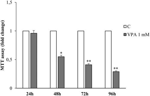 Figure 1 Effects of valproic acid on human prostate LNCaP cell growth. MTT growth assays in LNCaP cells treated for 24, 48, 72 and 96 hrs with vehicle (C) or 1mM of Valproic acid (VPA). The histograms represent the mean ± SD of three separate experiments, performed in triplicate. *p<0.05, **p<0.01 vs C.