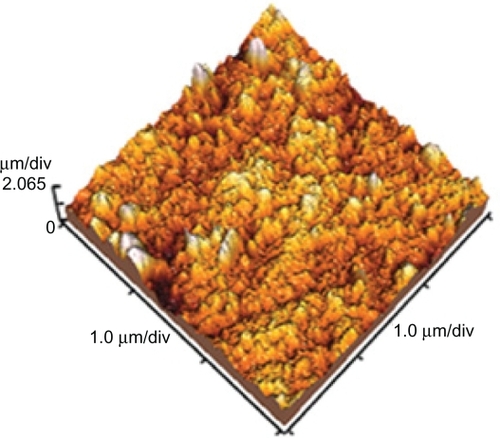 Figure 4 Atomic force microscopic image of grafted polystyrene with better grafting (120%) with 40% n-isopropylacrylamide concentration resolved in the solvent of 9:1 (v/v) water/methanol under ultraviolet radiation (scale 1 × 1 μm).