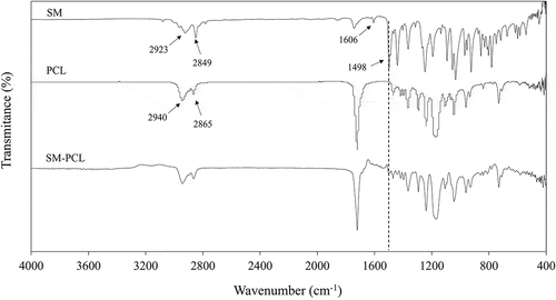 Figure 2. FTIR spectra of sesamin (SM), nanofibrous PCL membrane without loaded sesamin (PCL) and seamin-loaded PCL (SM-PCL) membrane.