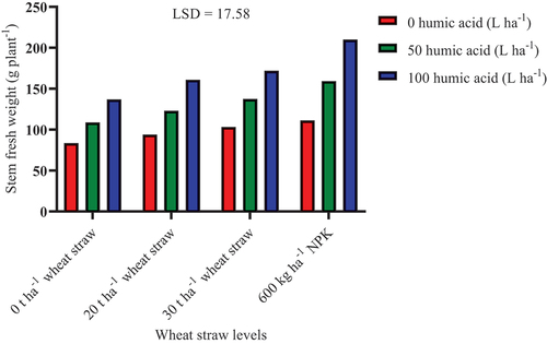 Figure 1. Effects of humic acid and wheat straw levels interaction on fresh stem weight.