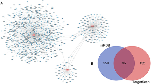 Figure 5 Targets genes of differentially expressed tsRNAs. (A) The targets of each tsRNA were shown respectively. (B) Venn plot to indicate that 96 mRNA targets of three tsRNAs were predicted by two prediction software simultaneously.